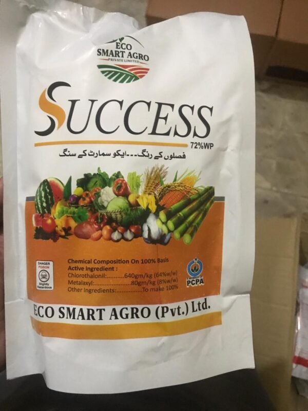 success