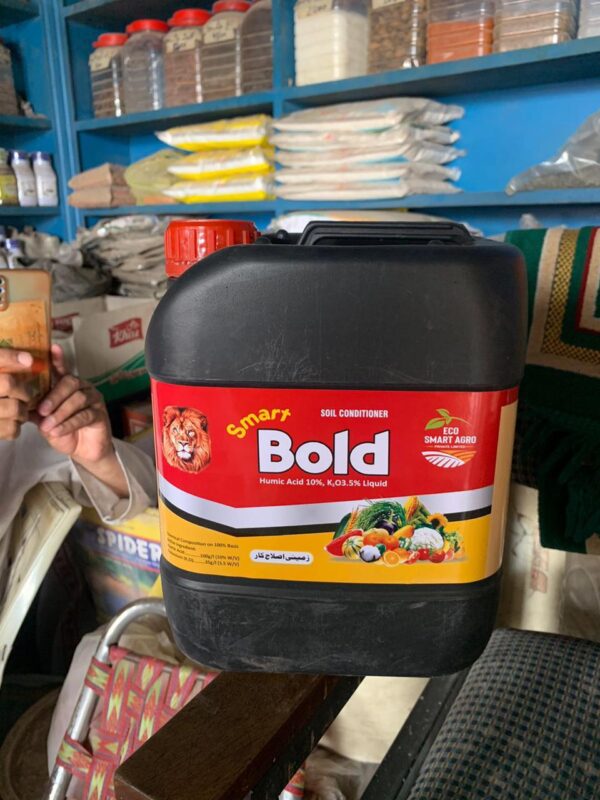 Bold